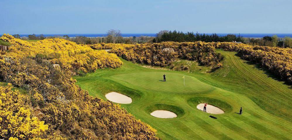 Newtown Mount Kennedy Druids Glen Resort מראה חיצוני תמונה