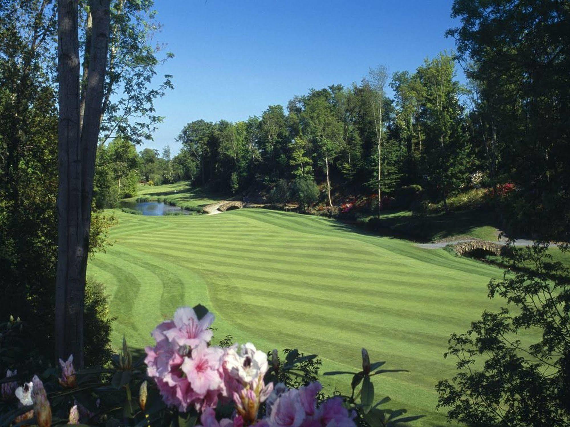 Newtown Mount Kennedy Druids Glen Resort מראה חיצוני תמונה