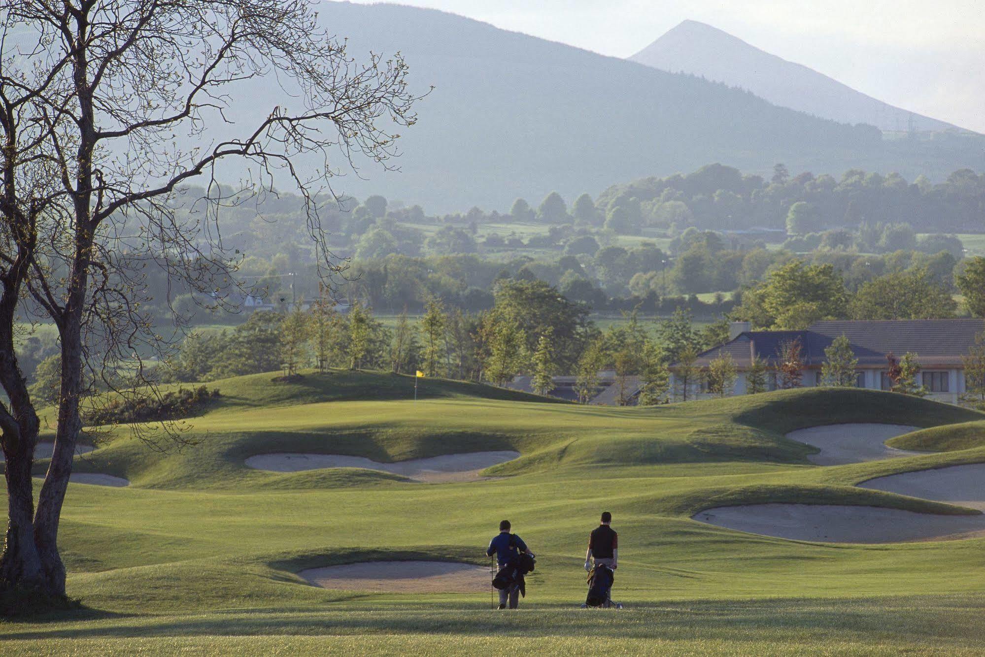Newtown Mount Kennedy Druids Glen Resort מראה חיצוני תמונה
